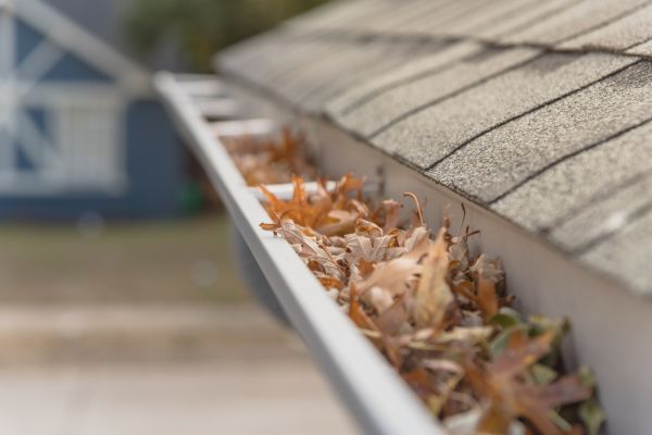 Leaf Barrier Installation in Utica