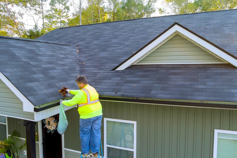 Gutter Maintenance Services